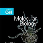 دانلود کتاب Molecular Biology 2nd Edition