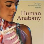 دانلود کتاب Human Anatomy: 2024 Release ISE