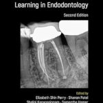 دانلود کتاب Pitt Ford’s Problem-Based Learning in Endodontology 2nd Edition