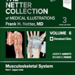 دانلود کتاب The Netter Collection of Medical Illustrations: Musculoskeletal System, Volume 6, Part I – Upper Limb (Netter Green Book Collection) 3rd Edition