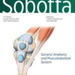 دانلود کتاب Sobotta Atlas of Anatomy Vol.1 English/Latin: General Anatomy and Musculoskeletal System 17th Edition
