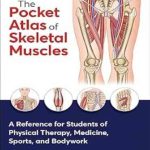 دانلود کتاب The Pocket Atlas of Skeletal Muscles: A Reference for Students of Physical Therapy, Medicine, Sports, and Bodywork 1st Edition