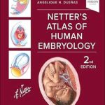 دانلود کتاب Netter’s Atlas of Human Embryology 2nd Edition