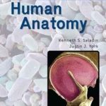 دانلود كتاب Human Anatomy: 2024 Release ISE 1st Edition