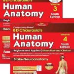 دانلود کتاب Human Anatomy: Head and Neck, Brain Neuroanatomy, Regional and Applied Dissection and Clinical 10th Edition Vol 3 & 4