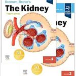 دانلود کتاب Brenner & Rector’s The Kidney (2 volume set) 12th Edition