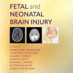 دانلود کتاب Fetal and Neonatal Brain Injury 6th Edition