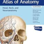 دانلود کتاب Head, Neck, and Neuroanatomy 4th Edition